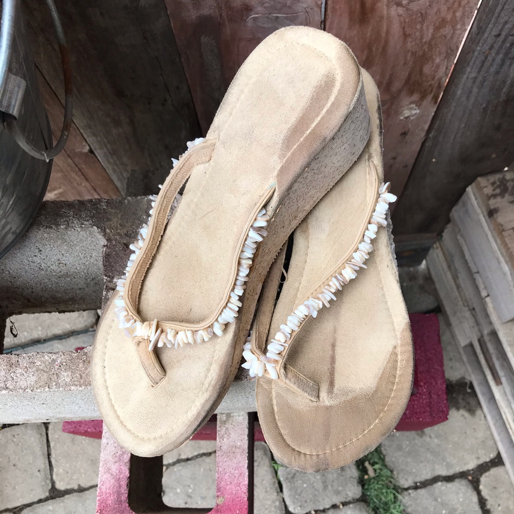 Sea Shell